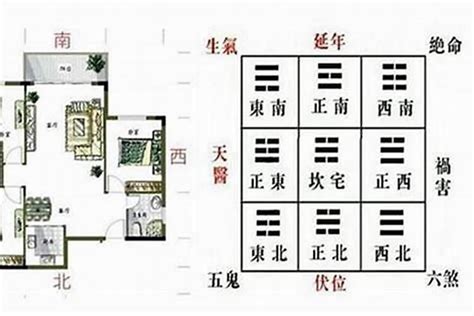 青龙位在哪里|风水宝典：如何确定青龙位？